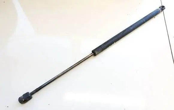 Tailgate/trunk strut/damper