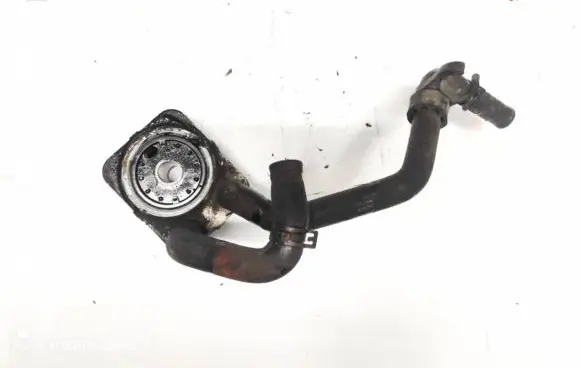 Volkswagen PASSAT B6 Engine oil radiator 