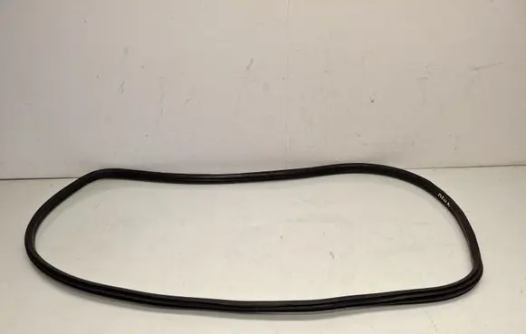 BMW X1 F48 F49 Front door rubber seal 7349628