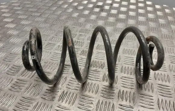 Renault Vel Satis Rear coil spring