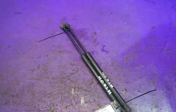 Tailgate strut