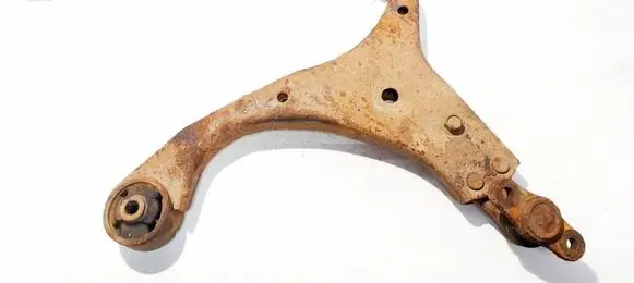 Front lower control arm/wishbone