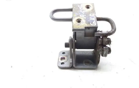 Rear door lower hinge