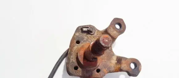 Renault Scenic I Stub axle 