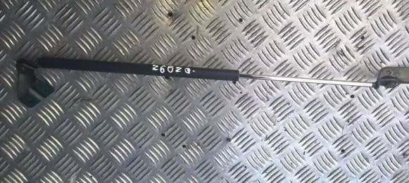 Tailgate/trunk strut/damper