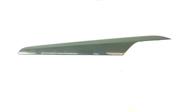 BMW X1 E84 Other front door trim element 7317555
