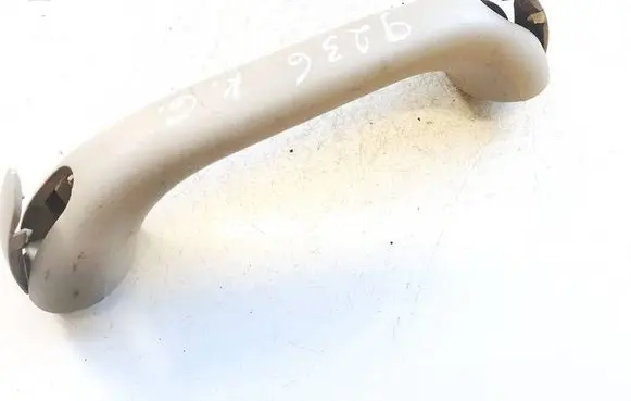 Chrysler Pacifica Rear interior roof grab handle