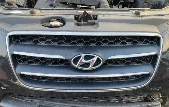 Hyundai Santa Fe ACC Distronic radar sensor grill/trim 2008R