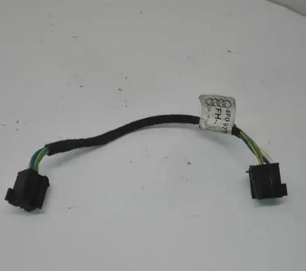 Audi A6 S6 C6 4F Other wiring loom 4F0971687