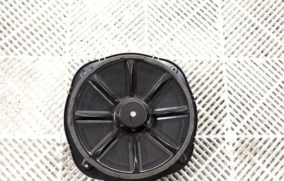 Audi A8 S8 D5 Subwoofer speaker 4N0035412B 07771401HS3
