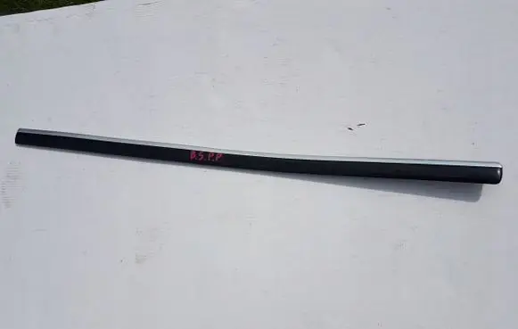 Volkswagen PASSAT B5.5 Trim molding 