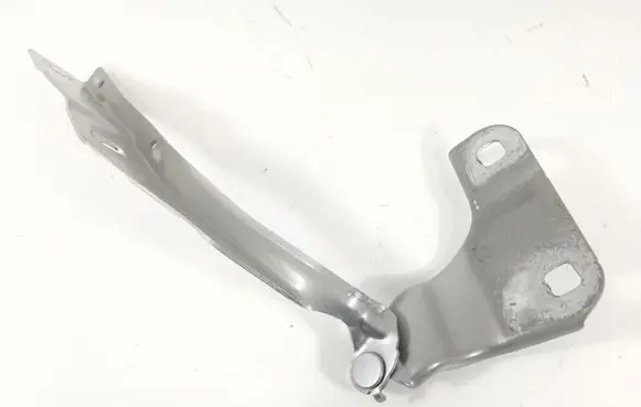 Ford Explorer VI Engine bonnet/hood hinges LB5B-S16801-A