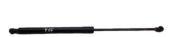 Tailgate/trunk strut/damper