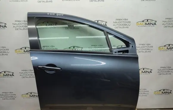 Renault Zoe Front door