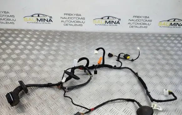 Hyundai Santa Fe Front door wiring loom 916002W264 919812W010