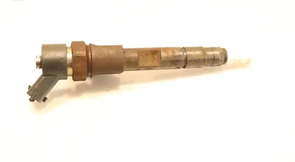 Renault Megane II Fuel injector 0445110110B