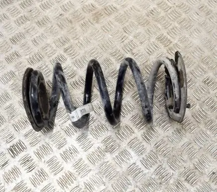 Tesla Model 3 Rear coil spring 104447201C