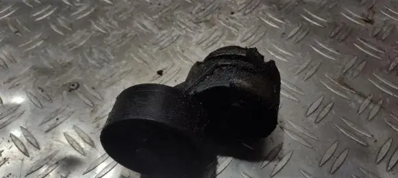 Fiat Bravo - Brava Generator/alternator belt tensioner 46442999