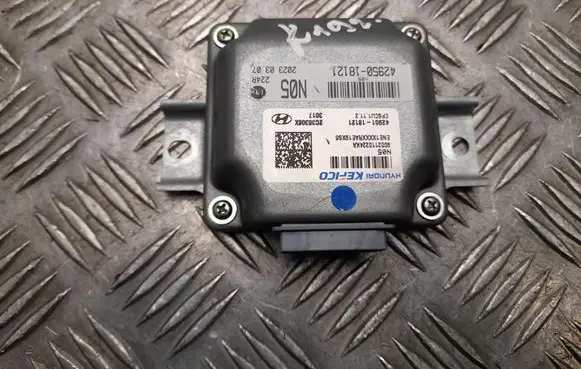 Hyundai Ioniq 5 Other control units/modules 4295018121