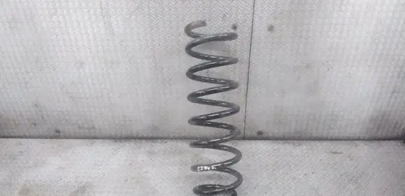 Renault Scenic II - Grand scenic II Rear coil spring 2120211