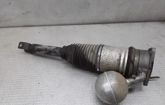 Volkswagen Phaeton Shock absorber/damper/air suspension 3D0616001K