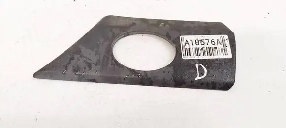 Fender trim (molding)