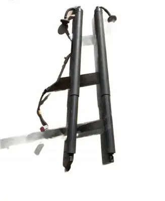 Tailgate strut