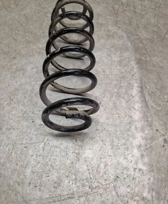Rear coil spring