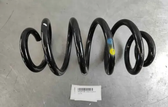 Rear coil spring