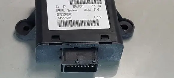 Peugeot 607 Other control units/modules 9645029780 09733009902
