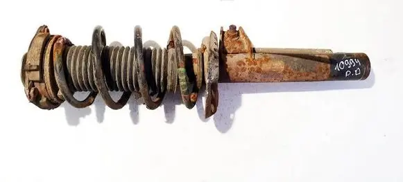 Volkswagen Jetta V Front shock absorber/damper 