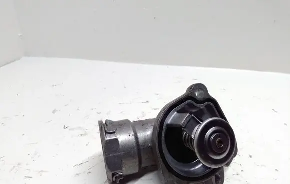 Thermostat/thermostat housing