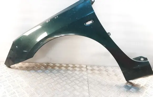 Peugeot 307 Fender