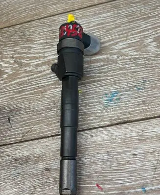 Chrysler Voyager Fuel injector 0445110 7XY45W7AA