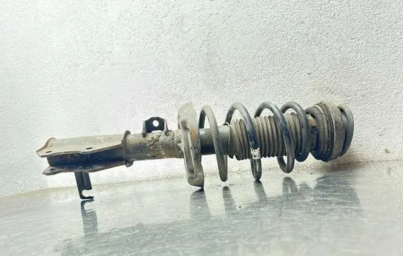 Opel Insignia A Front shock absorber with coil spring 13245977 4612001