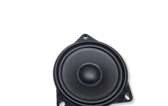 BMW X6 E71 Front door speaker 9151864 65139151864