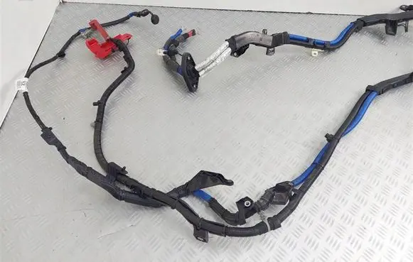 Ford Kuga III Negative earth cable (battery) LX6T-14300-ECE