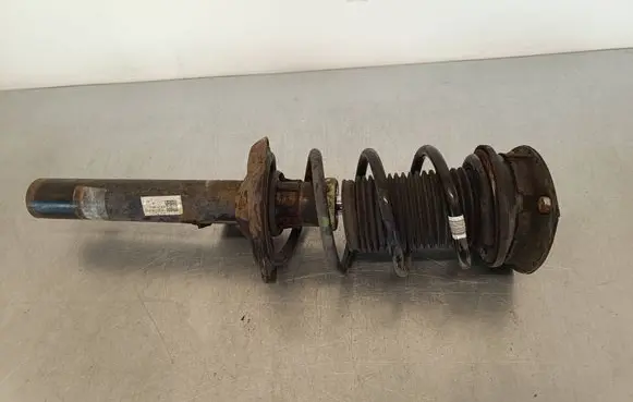 Volkswagen Golf VII Front shock absorber with coil spring