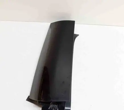 Rear door glass trim molding