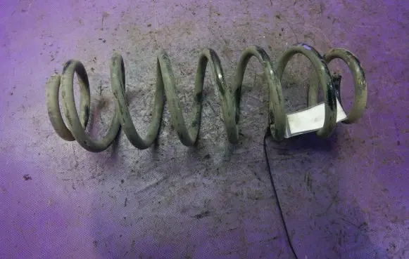 Seat Leon (1M) Rear coil spring