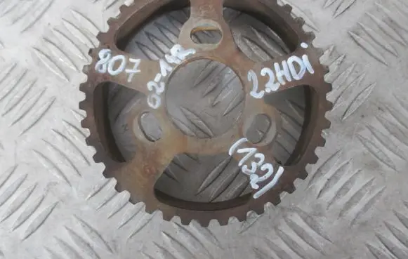 Peugeot 807 Timing chain sprocket 