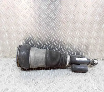 Rear shock absorber/damper