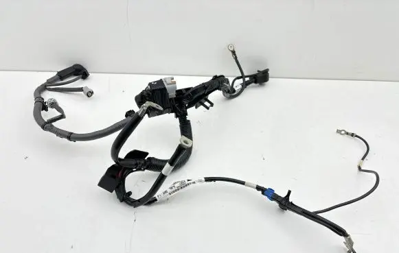 Subaru Legacy VII Wires (generator/alternator) 81601AN00A