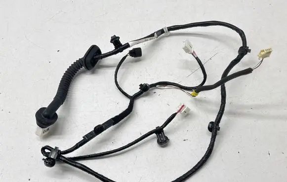 Rear door wiring loom