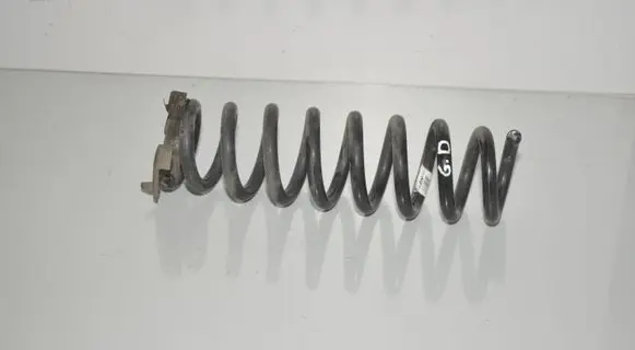 Rear coil spring