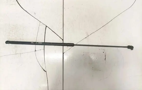 Toyota RAV 4 (XA20) Tailgate/trunk strut/damper 3c0823359a