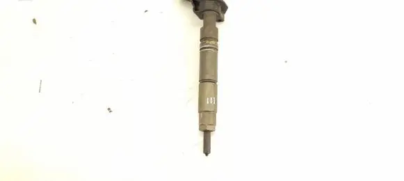 Mercedes-Benz R W251 Fuel injector 6420701387 6420701987