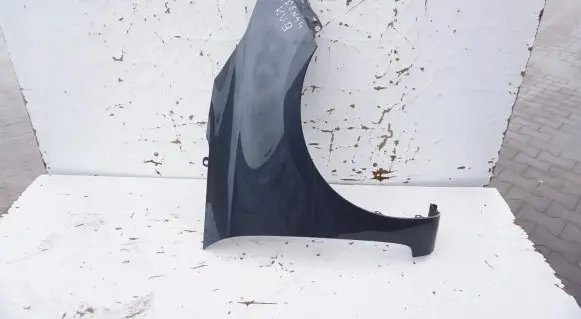 KIA Carens III Fender