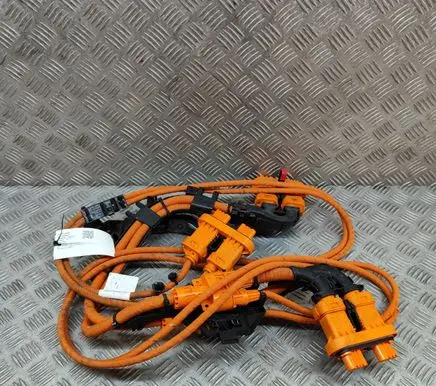 Volkswagen ID.5 Other wiring loom 1EA971013M