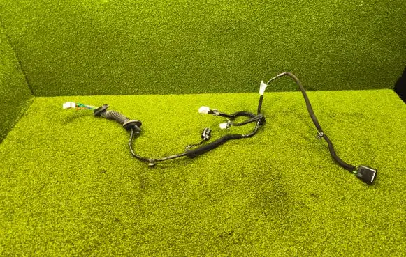 Hyundai Bayon Rear door wiring loom 91620Q0230 91981H8000G
